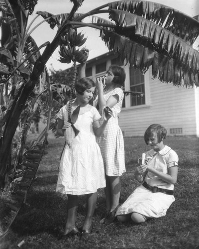 Girls with banana tree