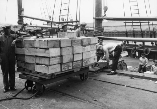 Tomatoe crates on a pull cart