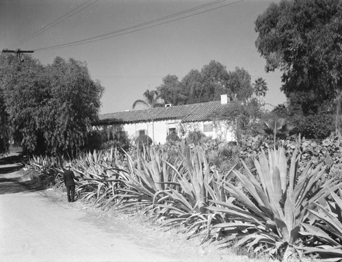 Casa Flores adobe