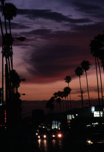 Sunset Boulevard during sunset