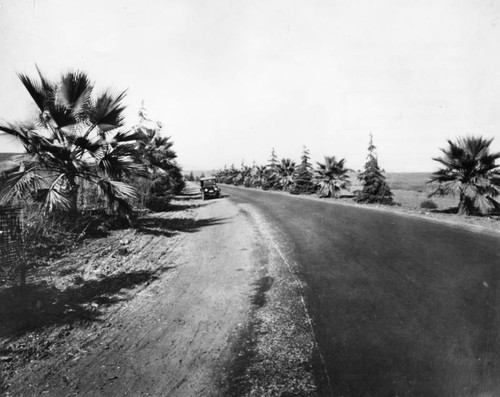 Early Beverly Drive