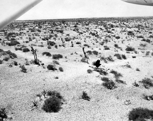 Deserted truck held Baja notes written by pair