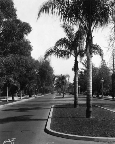 Adams west of Figueroa