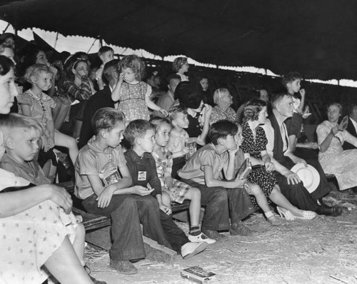 Circus spectators