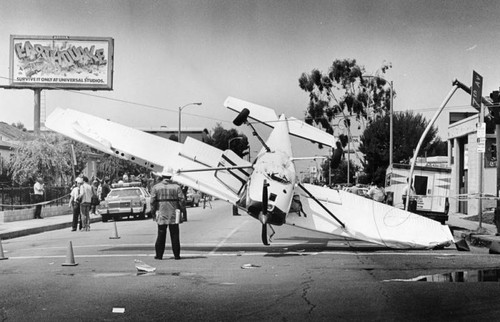 Crash in Venice Beach