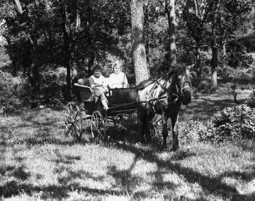 Two children in a horse drawn carriage