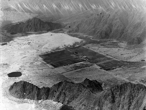 Date orchard aerial