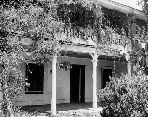 Leonis Adobe, a closeup view