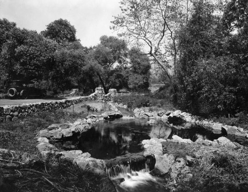 Verdugo Woodland pond