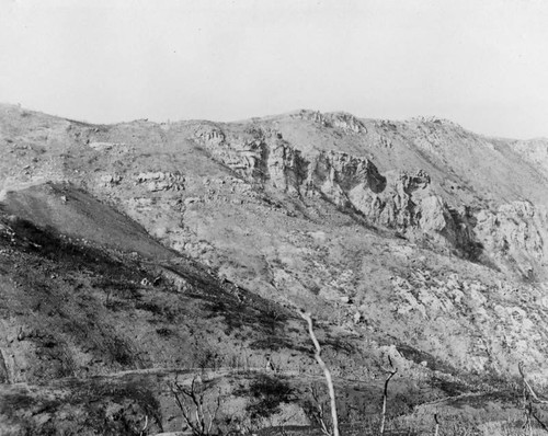 Santa Monica Mountains fire damage