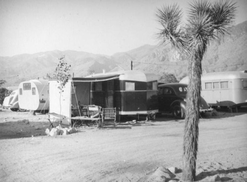 Cars, tents and trailers in a Palm Springs trailer park