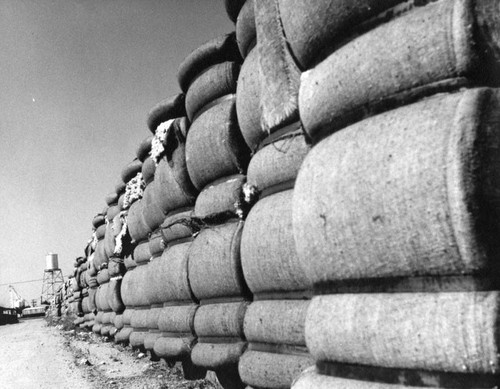 Bales of cotton