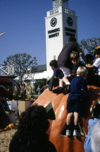 Harvest Festival, Farmers Market