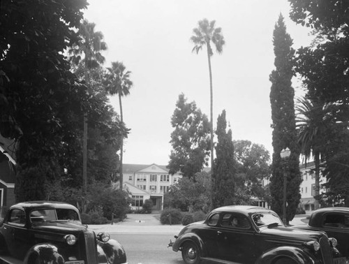 Trees at Santa Ana