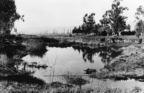 View across one of the tar pits