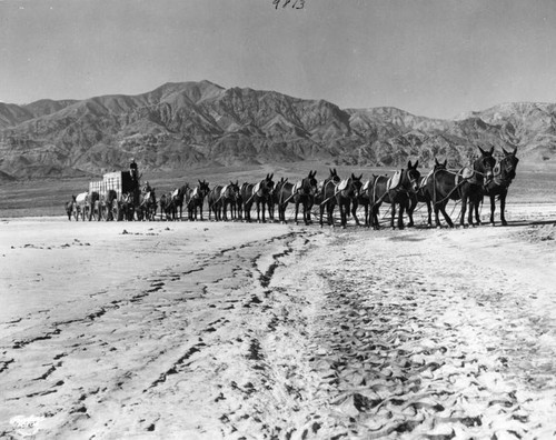 Twenty-mule team crossing near the mountains