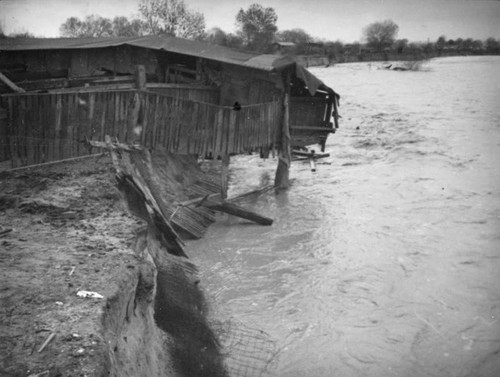 Floods, El Monte hog farm, barn collapse