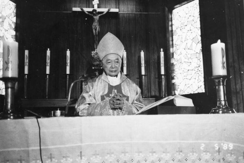 Cardinal at altar