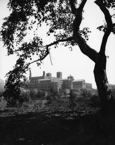 Scenic view of Powell Library at U.C.L.A