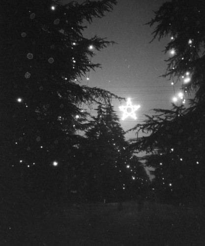 Star on Christmas Tree Lane in Altadena