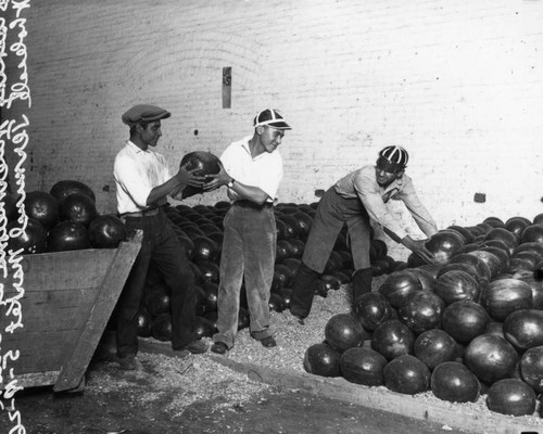 Stacking watermelons