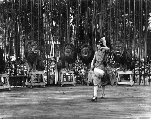 Performing at Luna Park Zoo, view 5