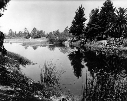 View of La Brea tar pit