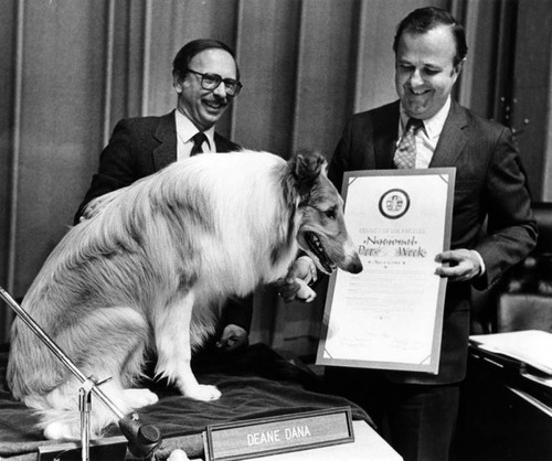 Supervisors honor Lassie