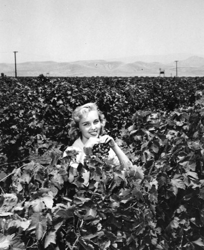 Woman standing in vineyard