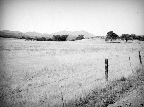 Calabasas vista