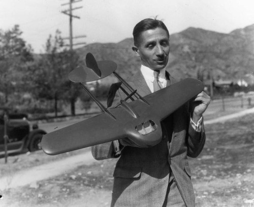 Model of flying wing