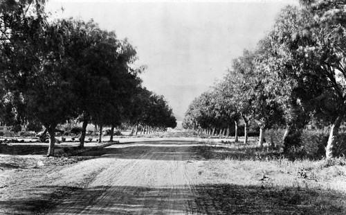 Wilcox Ave. from south of Hollywood Blvd