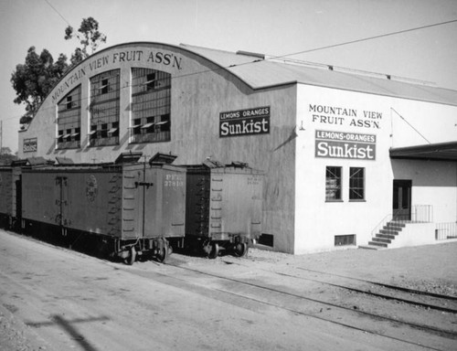 Mountain View Fruit Association packing house