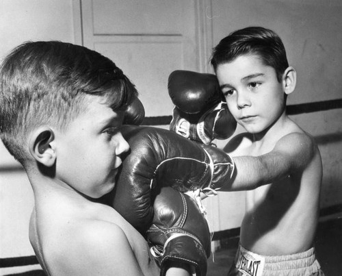 Young boxers — Calisphere