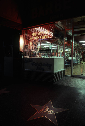 Hollywood Walk of Fame