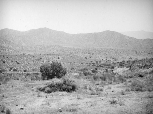 Chaparral and utility lines, Mint Canyon