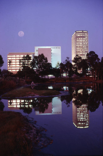 La Brea Tar Pits at sunset