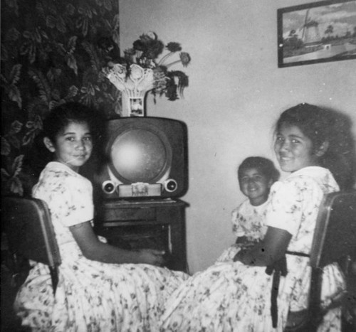 Family's first television