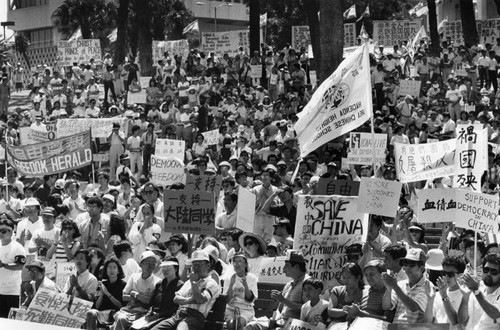 Chinese rally and march