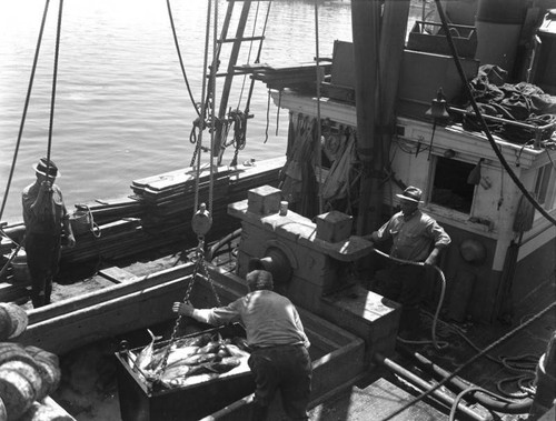 Fish Harbor fishing boat