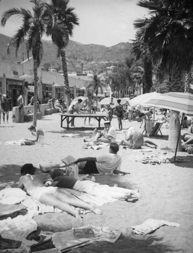 Beach life in Avalon