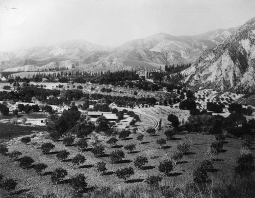 Panoramic view of Piru — Calisphere