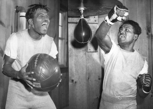 Sugar Ray Robinson