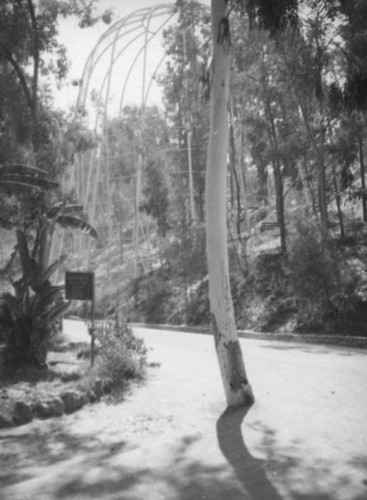 San Diego Zoo aviary