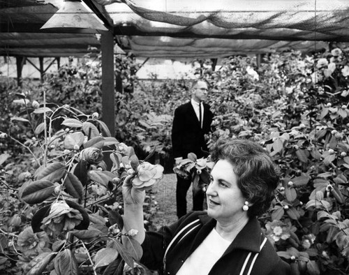 The Cecil Eshelmans in their backyard greenhouse in Sherman Oaks