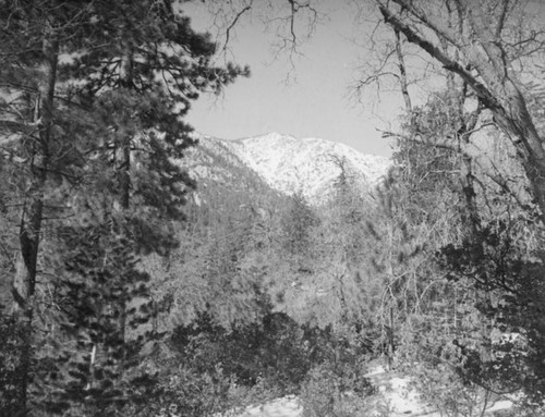 Mt. San Jacinto Peak