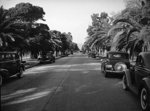 Pasadena residential street