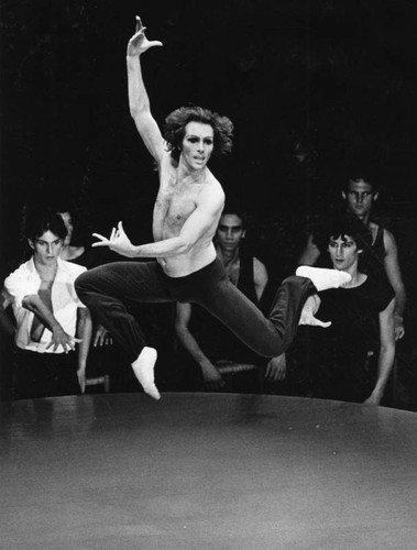 Jorge Donn, Ballet of the 20th Century