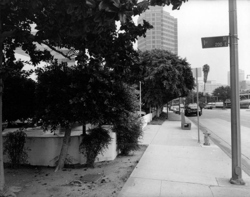 Parker Center Landscape