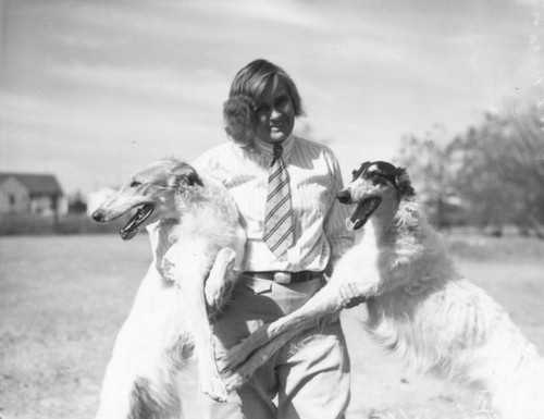 Training Borzoi dogs, view 4